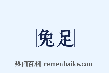 兔足是什么意思的图片